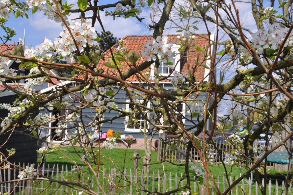 Guesthouse Boom Watergang Bagian luar foto